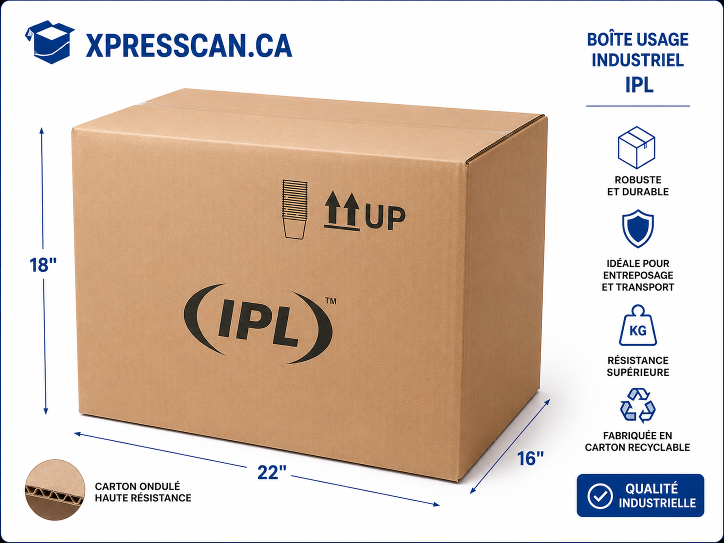Boîte usagée imprimée IPL – 18 1/2 x 13 1/4 x 18 po