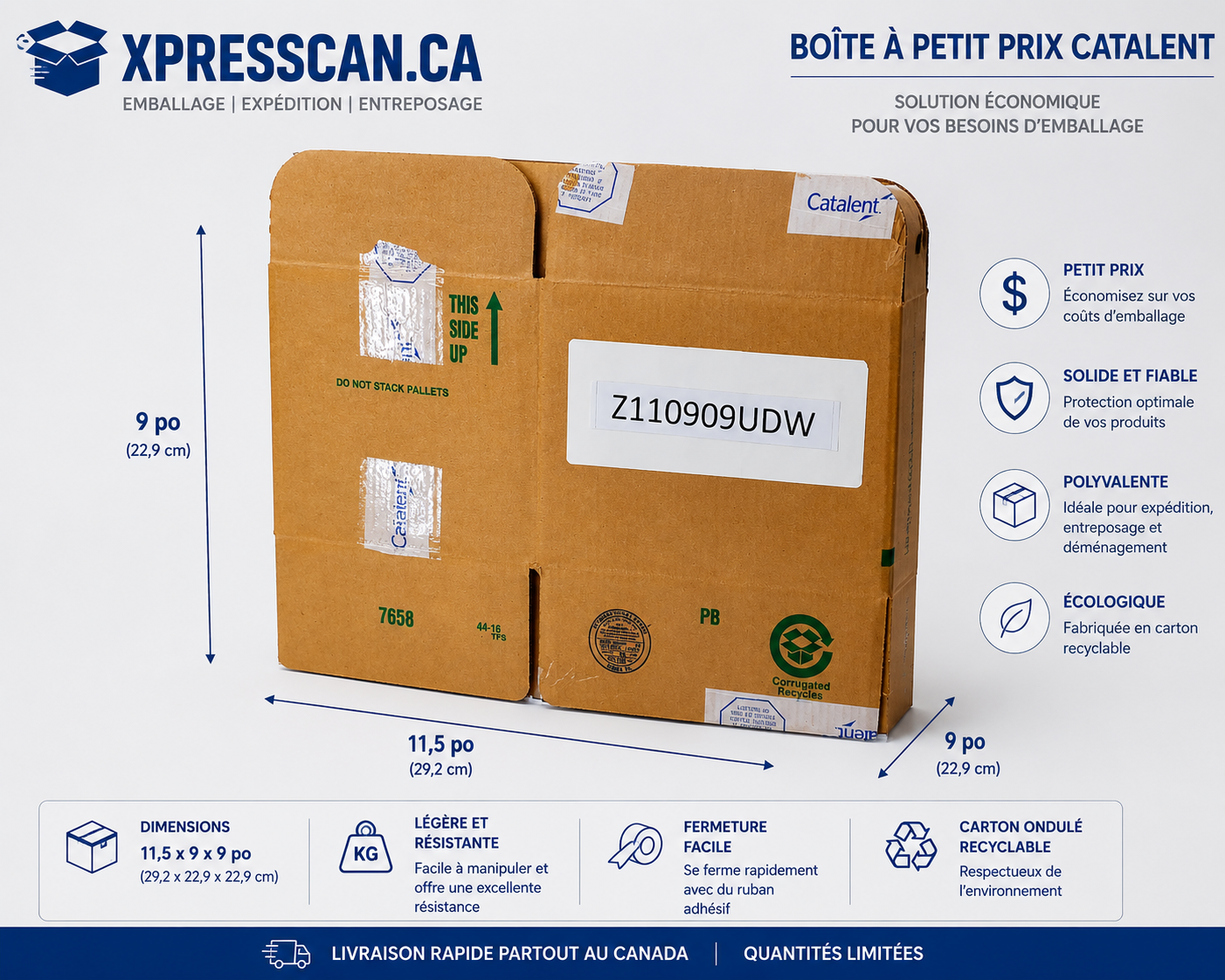 Boîte à petit prix CATALENT – 11,5 x 9 x 9 po