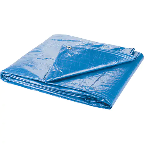 BÂCHE, STANDARD, BLEU, 8' X 6' X 4 MILS